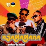 Njayana featuring Melody X Weasel Manizzo X Mezaya