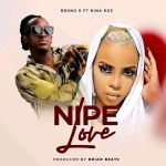 Nipe Love Feat. Nina roz by Bruno K