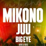 Mikono Juu by Big Eye
