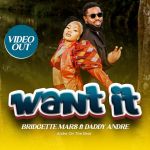Want It featuring Daddy Andre by Andre On The Beat