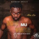 Ndi Mu Vibe  by Alvin Kizz