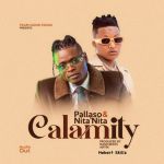 Calamity featuring Nita Nita by Pallaso