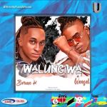 Walungiwa Feat. Bruno K