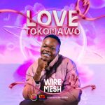 Love Tokomawo by Wire Mesh