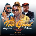 Too Good featuring Pallaso X King Saha by  Temperature Touch
