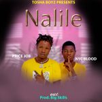 Nalile by Prince Job & Nyc Blood
