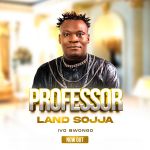 Professor by Land Sojja