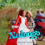 Nalongo by David Lutalo