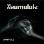 Nsumulule by Liam Voice