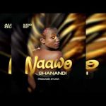 Naawo by Timo Rayz