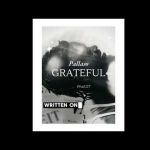 Grateful by Pallaso