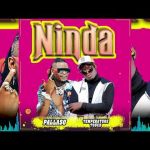 Ninda by Pallaso