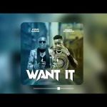 Want it by King Saha