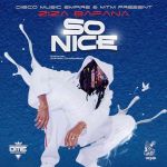 So Nice by Ziza Bafana