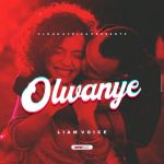 Olwanye by Liam Voice